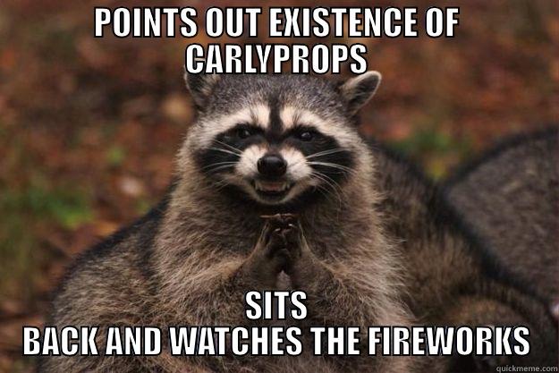 POINTS OUT EXISTENCE OF CARLYPROPS SITS BACK AND WATCHES THE FIREWORKS Evil Plotting Raccoon