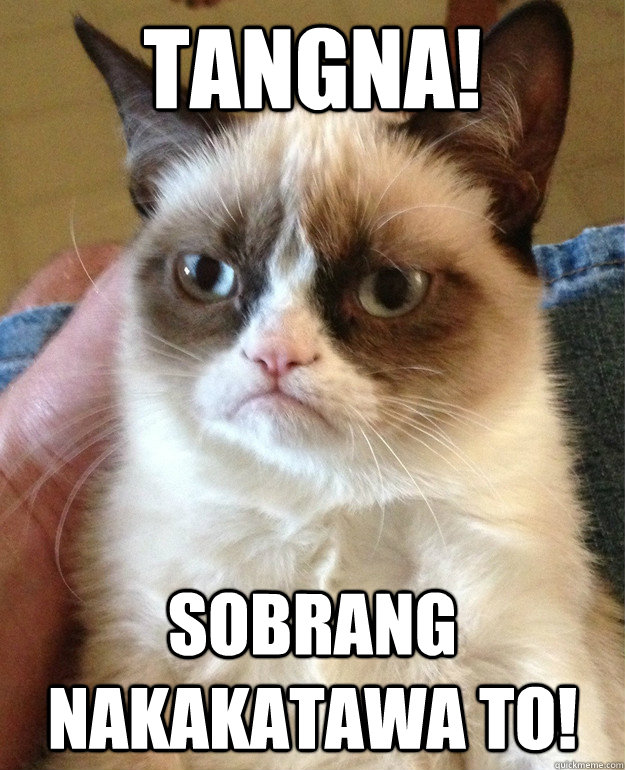 tangna! sobrang nakakatawa to! - tangna! sobrang nakakatawa to!  Grumpy Cat