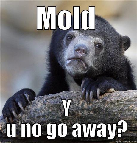 MOLD Y U NO GO AWAY? Confession Bear