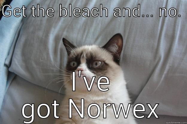 Norwex + water    mindyadkins.norwex.biz - GET THE BLEACH AND... NO.  I'VE GOT NORWEX Grumpy Cat