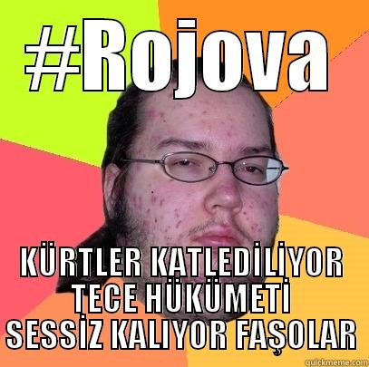 #ROJOVA KÜRTLER KATLEDİLİYOR TECE HÜKÜMETİ SESSİZ KALIYOR FAŞOLAR Butthurt Dweller