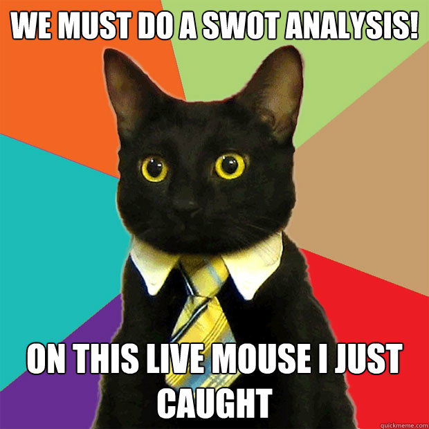 we must do a swot analysis! on this live mouse I just caught - we must do a swot analysis! on this live mouse I just caught  Business Cat