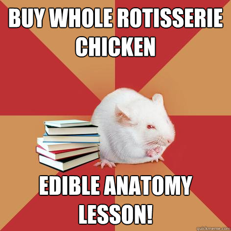 buy whole rotisserie chicken edible anatomy lesson!  Science Major Mouse