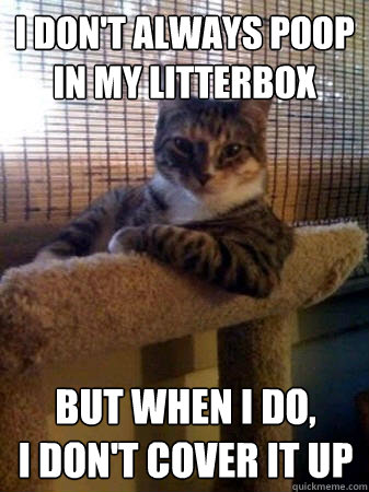 I don't always poop in my litterbox but when i do, 
i don't cover it up  The Most Interesting Cat in the World