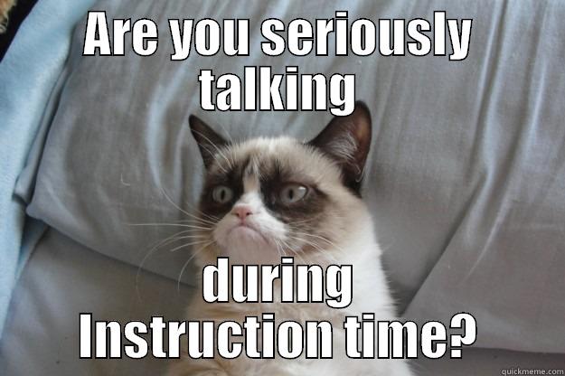 ARE YOU SERIOUSLY TALKING DURING INSTRUCTION TIME? Grumpy Cat