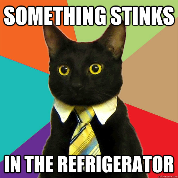 SOMETHING STINKS IN THE REFRIGERATOR  Business Cat