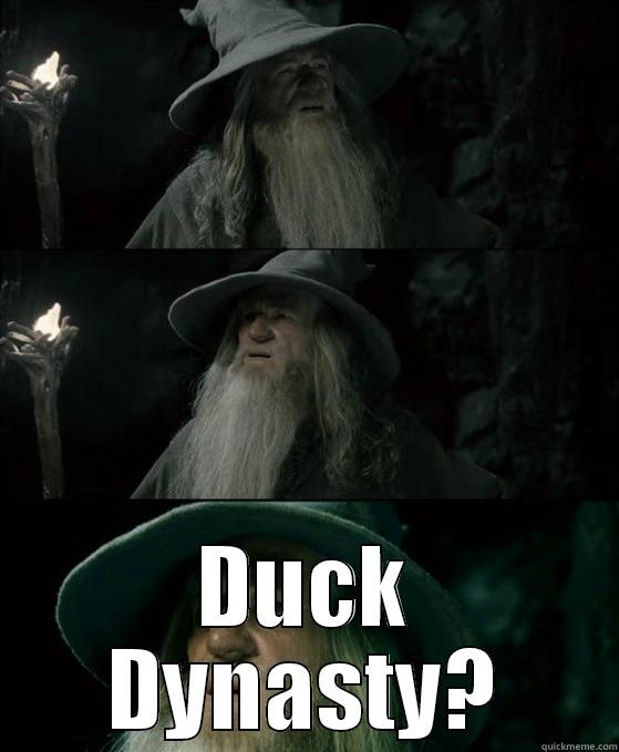 duck dynasty -  DUCK DYNASTY? Misc