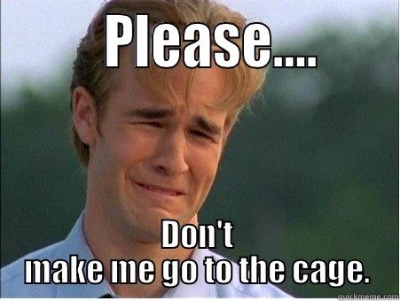 RMH Cage -         PLEASE….      DON'T MAKE ME GO TO THE CAGE. 1990s Problems