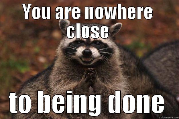 YOU ARE NOWHERE CLOSE TO BEING DONE Evil Plotting Raccoon