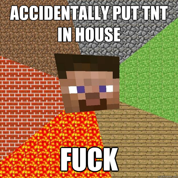 accidentally put tnt in house fuck  Minecraft