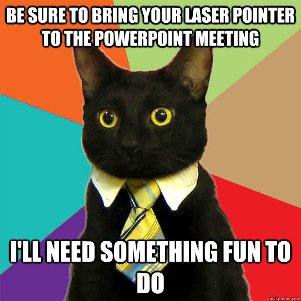 be sure to bring your laser pointer to the powerpoint meeting i'll need something fun to do  Business Cat