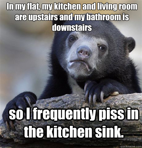 In my flat, my kitchen and living room are upstairs and my bathroom is downstairs so I frequently piss in the kitchen sink.  Confession Bear