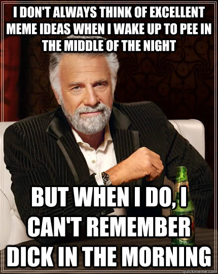 I don't always think of excellent meme ideas when i wake up to pee in the middle of the night but when i do, i can't remember dick in the morning  The Most Interesting Man In The World