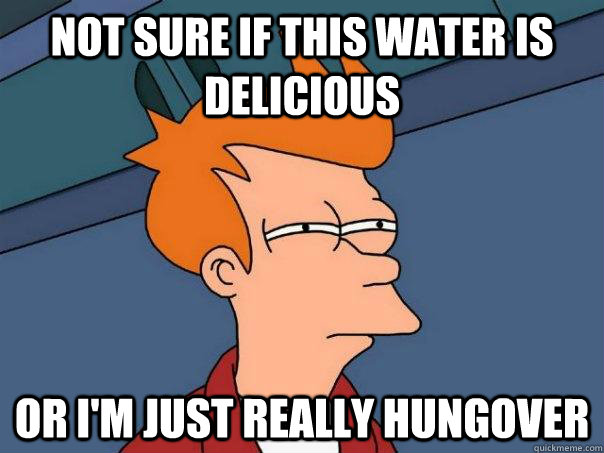 Not sure if this water is delicious Or I'm just really hungover  Futurama Fry