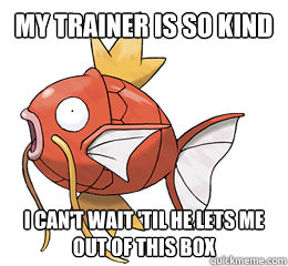 my trainer is so kind i can't wait 'til he lets me out of this box  Tormented Magikarp