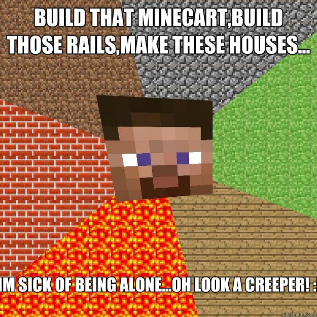 Build that minecart,build those rails,make these houses... IM SICK OF BEING ALONE...OH LOOK A CREEPER! :D  Minecraft