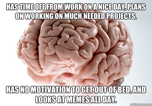 Has time off from work on a nice day, plans on working on much needed projects.  Has no motivation to get out of bed, and looks at memes all day.  Scumbag Brain