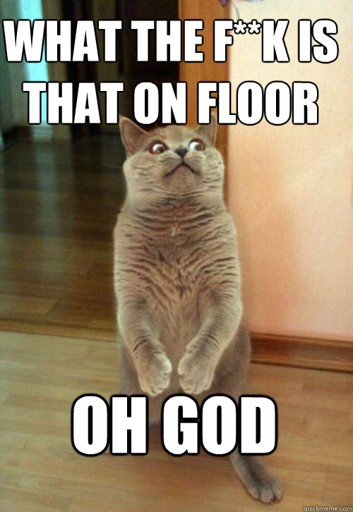 Oh god what the f**k is that on floor  Horrorcat