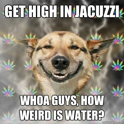 Get high in jacuzzi Whoa guys, How weird is water?  Stoner Dog