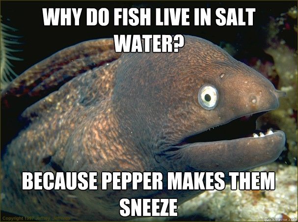 Why do fish live in salt water? Because pepper makes them sneeze  Bad Joke Eel