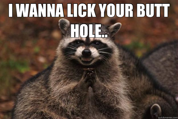 I WANNA LICK YOUR BUTT HOLE..  - I WANNA LICK YOUR BUTT HOLE..   Evil Plotting Raccoon