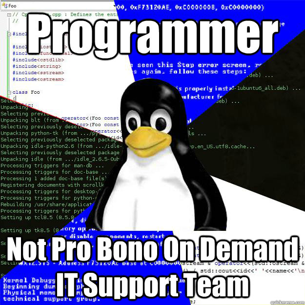 Programmer Not Pro Bono On Demand IT Support Team  Computer Science Penguin