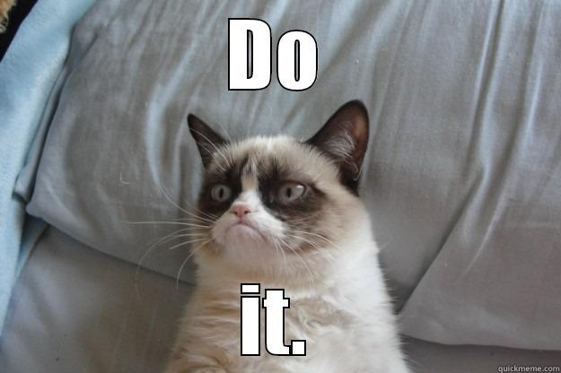 DO IT. Grumpy Cat