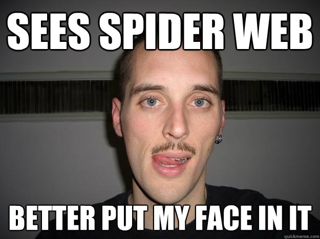 Sees Spider Web Better Put My Face In It  Creepy Chris