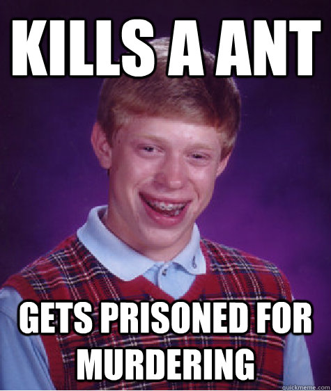 kills a ant gets prisoned for murdering  Bad Luck Brian