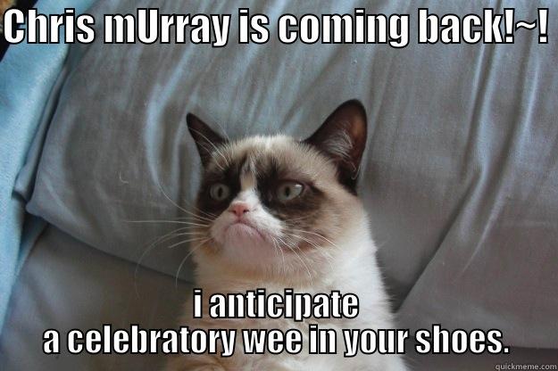 CHRIS MURRAY IS COMING BACK!~! I ANTICIPATE A CELEBRATORY WEE IN YOUR SHOES. Grumpy Cat