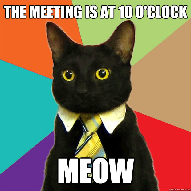 The Meeting is at 10 O'Clock Meow - The Meeting is at 10 O'Clock Meow  Business Cat