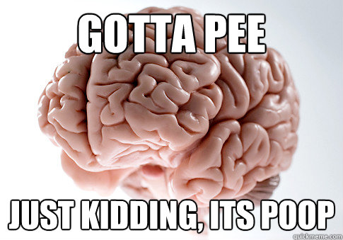 gotta pee Just kidding, its poop  Scumbag Brain