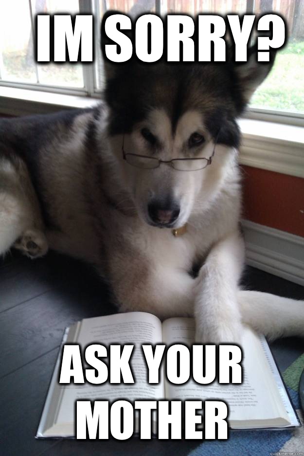 Im sorry? Ask your mother  Condescending Literary Pun Dog