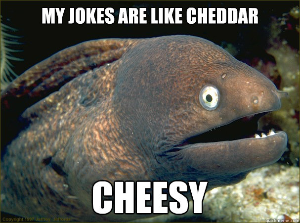 my jokes are like cheddar cheesy - my jokes are like cheddar cheesy  Bad Joke Eel