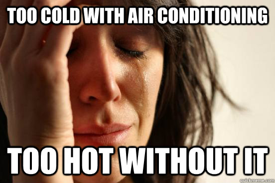 Too cold with air conditioning Too hot without it  First World Problems