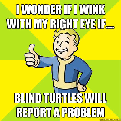 I wonder if I wink with my right eye if.... blind turtles will report a problem  Fallout new vegas