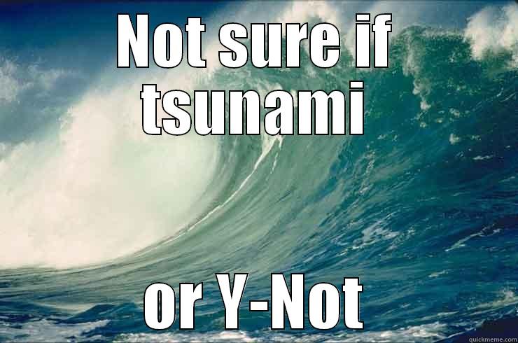 adjnasjn huds - NOT SURE IF TSUNAMI OR Y-NOT Misc