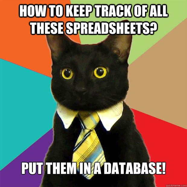 How to keep track of all these spreadsheets? Put them in a database! - How to keep track of all these spreadsheets? Put them in a database!  Business Cat