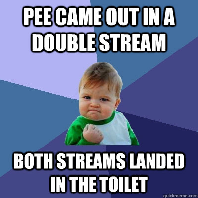 Pee came out in a double stream both streams landed in the toilet  Success Kid