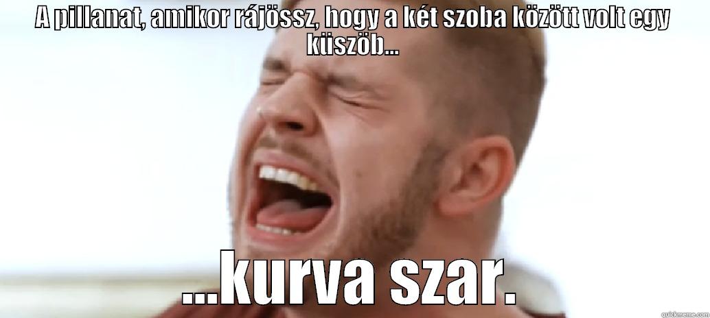 A PILLANAT, AMIKOR RÁJÖSSZ, HOGY A KÉT SZOBA KÖZÖTT VOLT EGY KÜSZÖB... ...KURVA SZAR. Misc