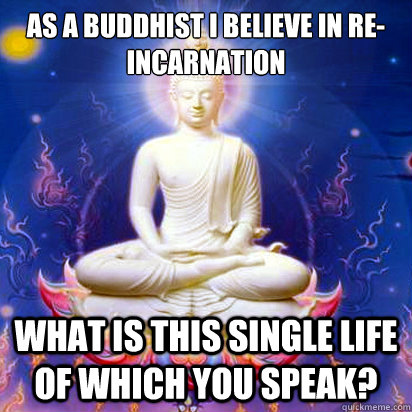 As a buddhist I believe in re-incarnation what is this single life of which you speak?  