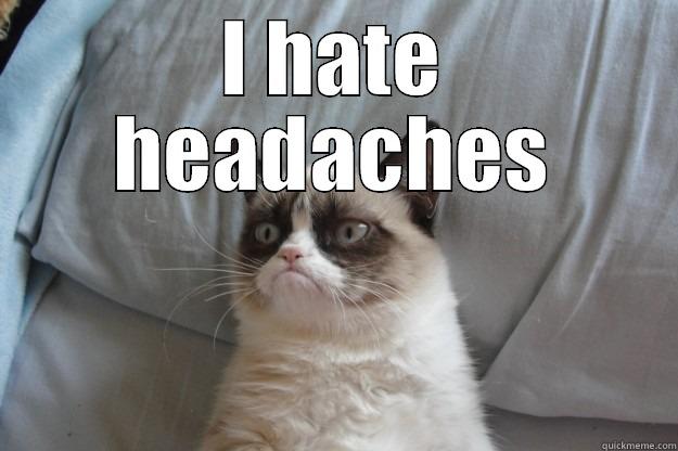 I HATE HEADACHES  Grumpy Cat