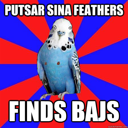 putsar sina feathers Finds bajs - putsar sina feathers Finds bajs  Bastard Bibbi