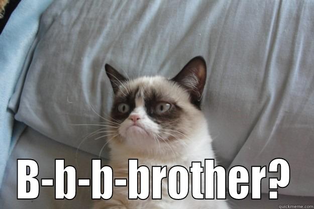 To be or not to be humpo -  B-B-B-BROTHER? Grumpy Cat