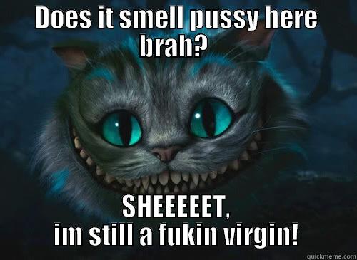 fuck this sheeet im a virgin - DOES IT SMELL PUSSY HERE BRAH?  SHEEEEET, IM STILL A FUKIN VIRGIN! Misc