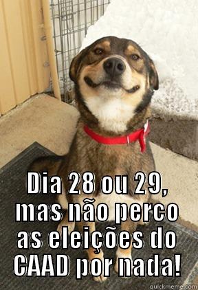  DIA 28 OU 29, MAS NÃO PERCO AS ELEIÇÕES DO CAAD POR NADA! Good Dog Greg