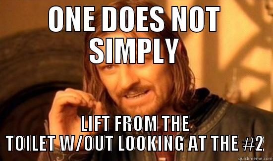 ONE DOES NOT SIMPLY LIFT FROM THE TOILET W/OUT LOOKING AT THE #2 Boromir