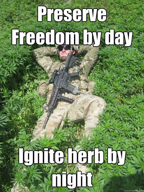 Preserve Freedom by day Ignite herb by night  Stoner Soldier