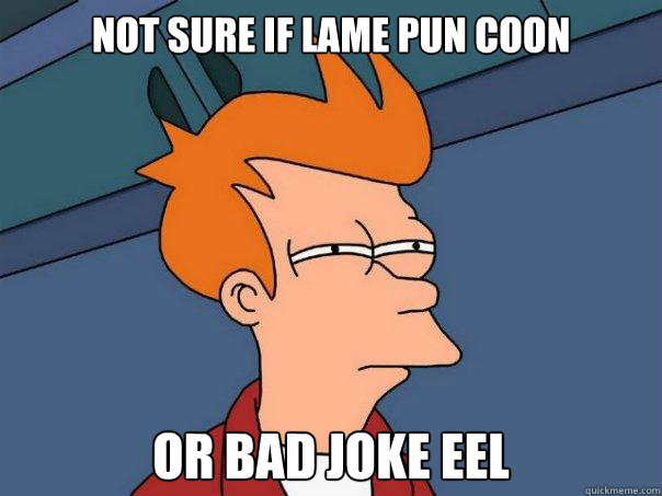 Not sure if Lame Pun Coon Or Bad Joke Eel  Futurama Fry