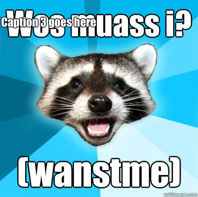 Wos muass i? (wanstme) Caption 3 goes here - Wos muass i? (wanstme) Caption 3 goes here  Lame Pun Coon